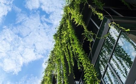 Sustainable office design: choose plants and greenery!