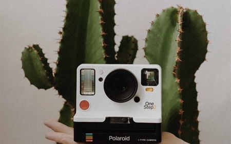 Gek op planten? Deze 10 instagram-accounts moet je volgen!