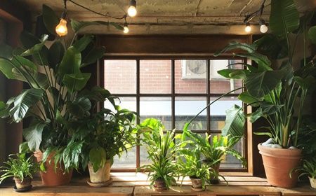 5 x reasons to put artificial flowers in the office