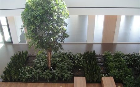 Construire un jardin atrium ? Conseils et informations utiles
