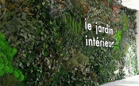 Vertical garden: perfect for businesses