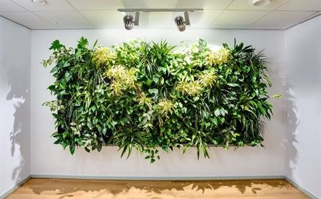 Murs végétaux pour les entreprises