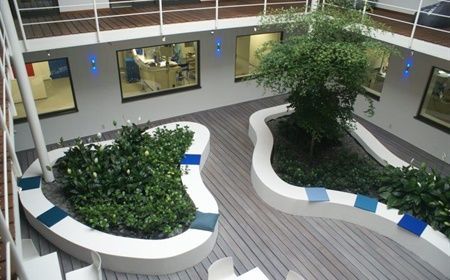 Indoor greenery in businesses: cost-saving