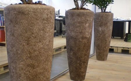 Decorating with plants in your business? Our tips and inspiration
