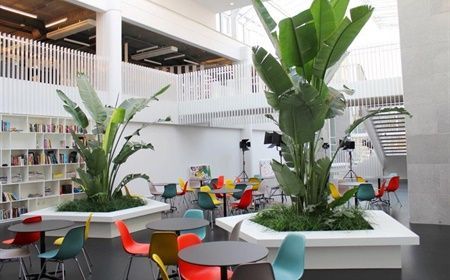 Natural interior in your business? Think plants!