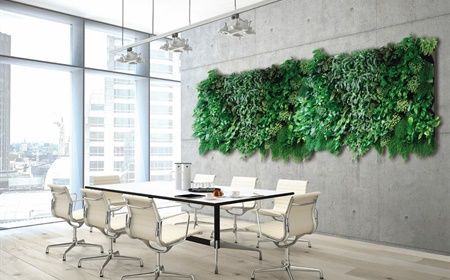Green wall with plants in your office? Inspiration