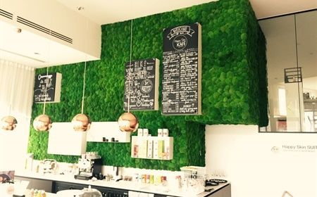 How to beautify your storefront with plants?