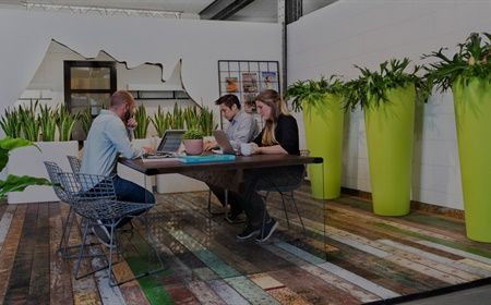 Office plant package: choose a plant package customized for your business