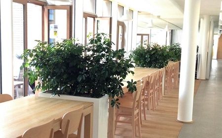 Planten kopen of huren voor woonzorgcentrum