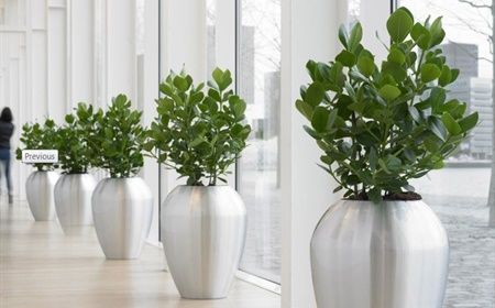 Looking for Inspiration for your office interior?
