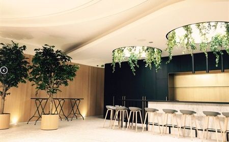 Enrich your office decor with houseplants!